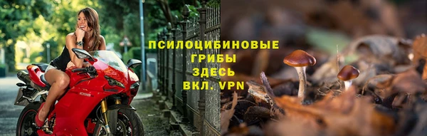 трава Балабаново