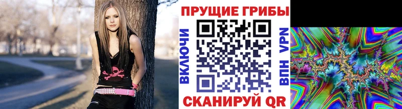 Галлюциногенные грибы мицелий  Купить  Чкаловск 